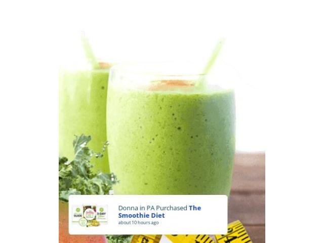 The Smoothie Diet: 21 Day Rapid Weight Loss Program
