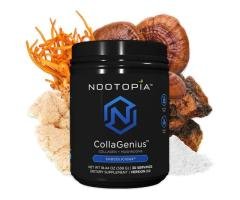Improving brain function is a comprehensive approach to durability and performance with CollaGenius 