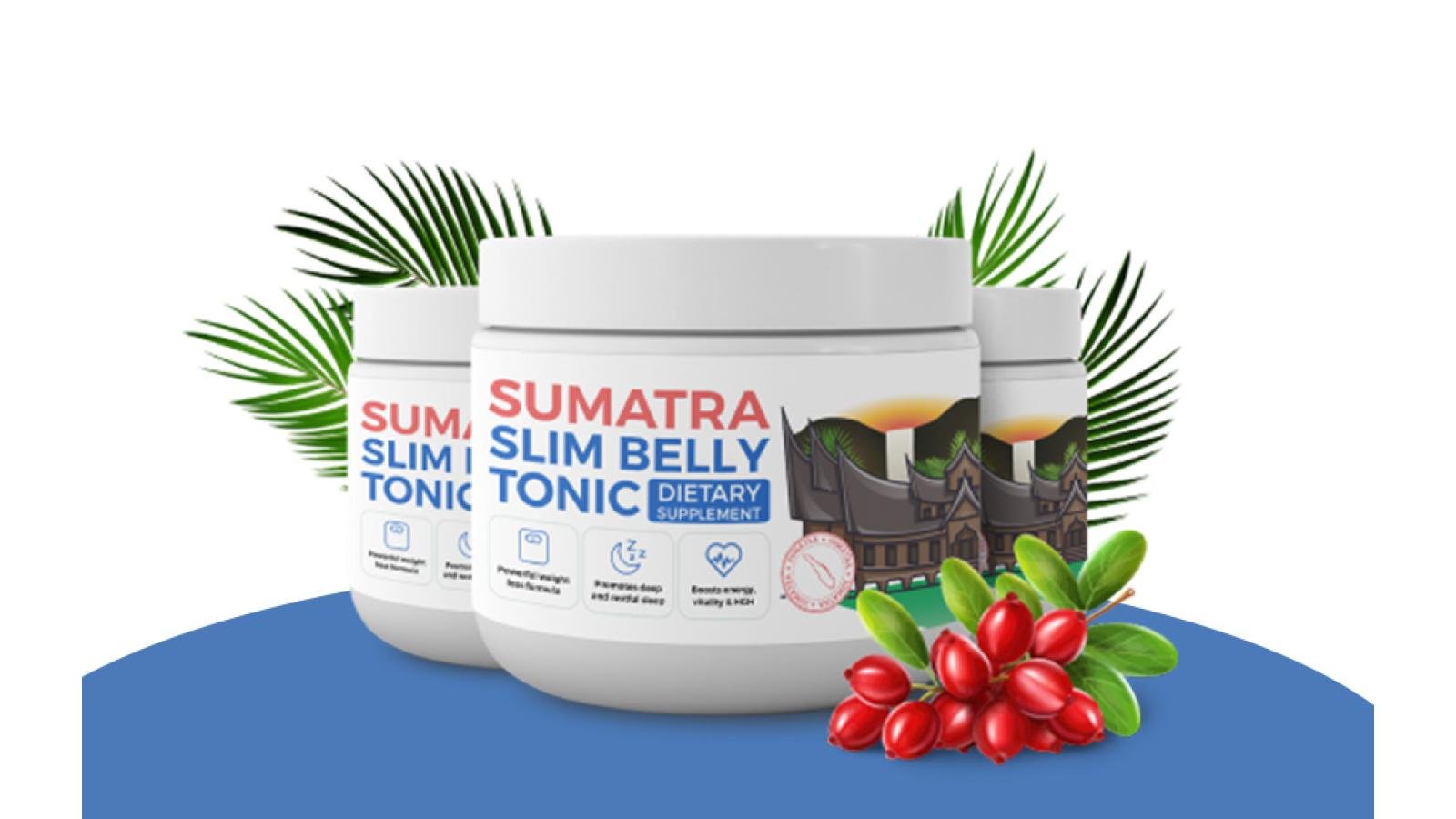 Sumatra Slim Belly Tonic - Diet supplements